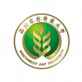 东华大学考研辅导班